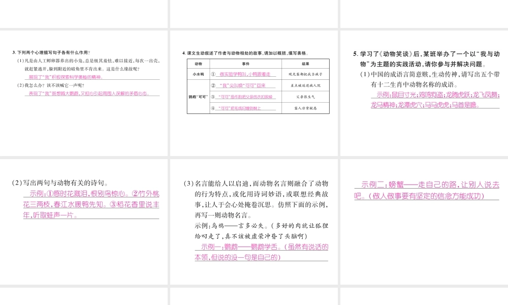（安徽专版）七年级语文上册 第五单元 17 动物笑谈作业课件 新人教版-新人教版初中七年级上册语文课件