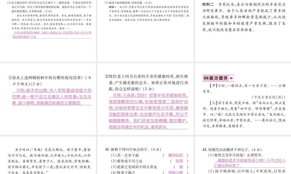 （安徽专版）七年级语文上册 第五单元 18 狼作业课件 新人教版-新人教版初中七年级上册语文课件