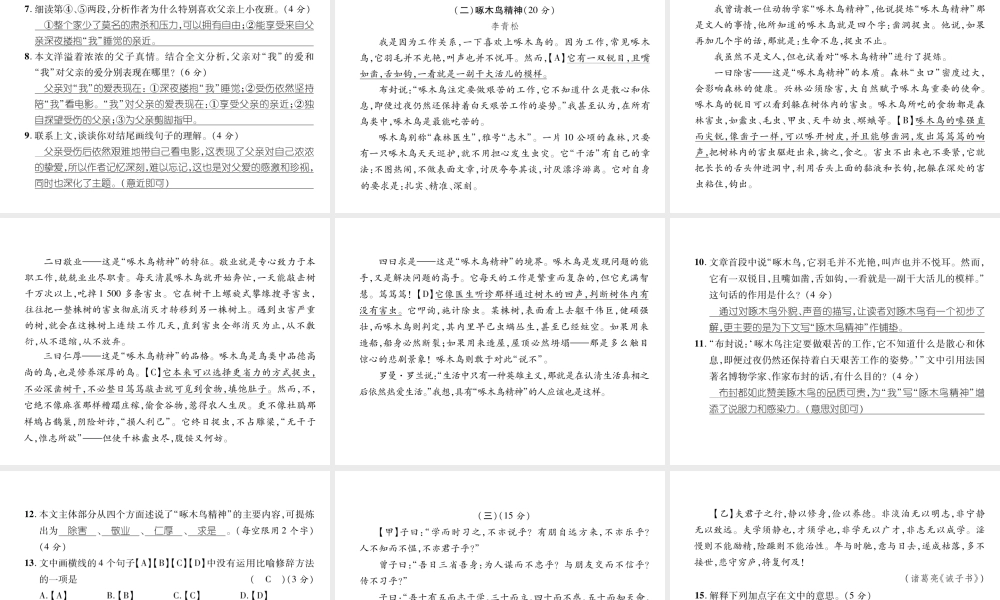 （安徽专版）七年级语文上册 期末达标测试作业课件 新人教版-新人教版初中七年级上册语文课件