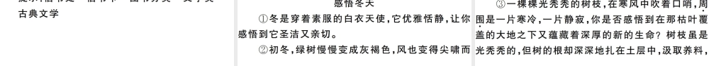 （安徽专版）七年级语文上册 期末检测卷课件 新人教版-新人教版初中七年级上册语文课件