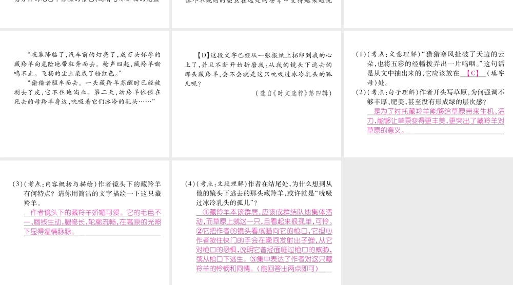 （安徽专版）七年级语文上册 双休作业（10）作业课件 新人教版-新人教版初中七年级上册语文课件