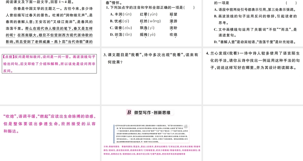 （孝感专版）秋九年级语文上册 第一单元 5我看习题课件 新人教版-新人教版初中九年级上册语文课件