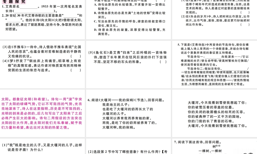 （孝感专版）秋九年级语文上册 第一单元 名著导读（一）《艾青诗选》如何读诗习题课件 新人教版-新人教版初中九年级上册语文课件