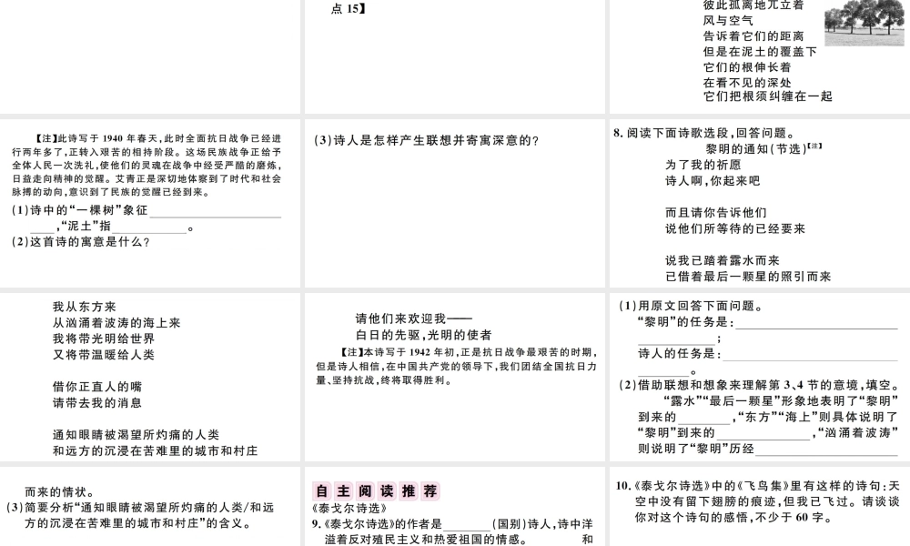 （孝感专版）秋九年级语文上册 第一单元 名著导读（一）《艾青诗选》如何读诗习题课件 新人教版-新人教版初中九年级上册语文课件