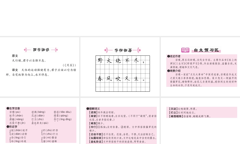 （安徽专版）七年级语文下册 第五单元 17 紫藤萝瀑布课件 新人教版-新人教版初中七年级下册语文课件