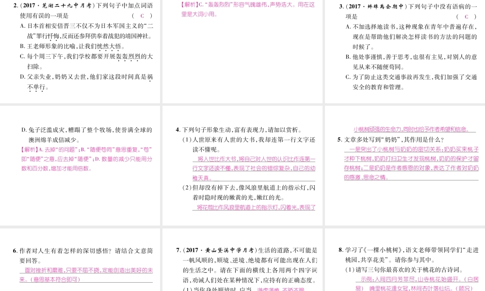 （安徽专版）七年级语文下册 第五单元 18 一颗小桃树课件 新人教版-新人教版初中七年级下册语文课件