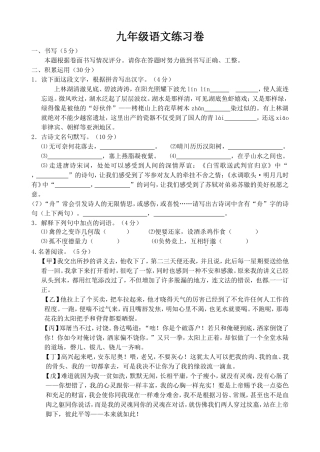 九年级语文练习卷