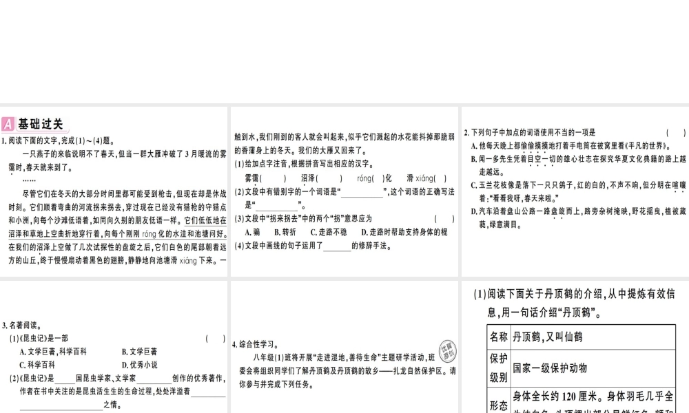 （安徽专版）春八年级语文下册 第二单元 7大雁归来习题课件 新人教版-新人教版初中八年级下册语文课件