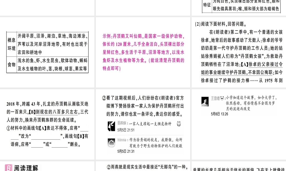 （安徽专版）春八年级语文下册 第二单元 7大雁归来习题课件 新人教版-新人教版初中八年级下册语文课件