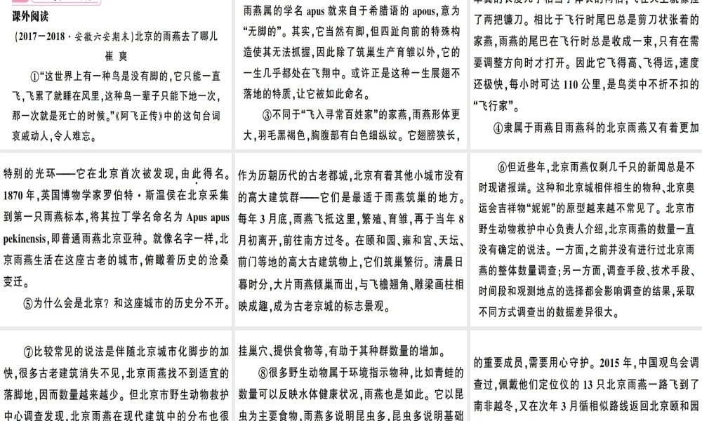 （安徽专版）春八年级语文下册 第二单元 7大雁归来习题课件 新人教版-新人教版初中八年级下册语文课件