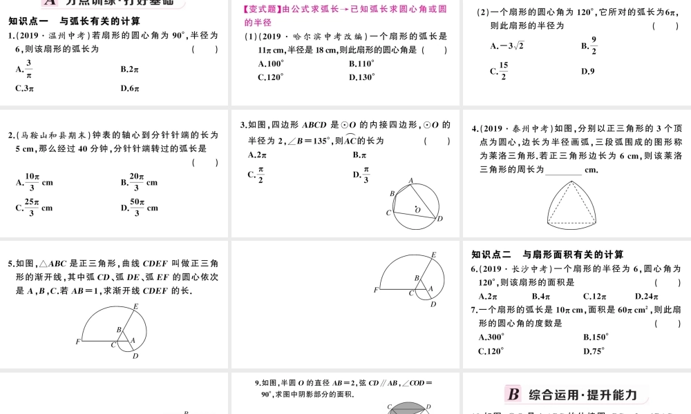 （安徽专版）九年级数学上册 第24章 圆 24.4 弧长及扇形的面积第1课时 弧长和扇形面积课件 （新版）新人教版-（新版）新人教版初中九年级上册数学课件