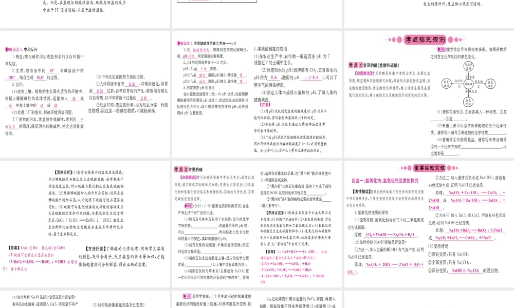 （安徽专版）中考化学 第十单元 酸和碱课件-人教版初中九年级全册化学课件