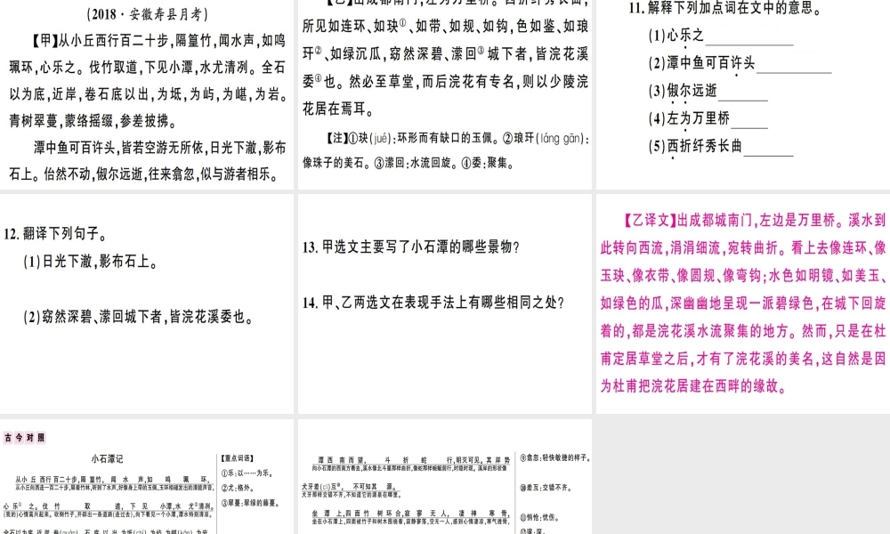 （安徽专版）春八年级语文下册 第三单元 10小石潭记习题课件 新人教版-新人教版初中八年级下册语文课件