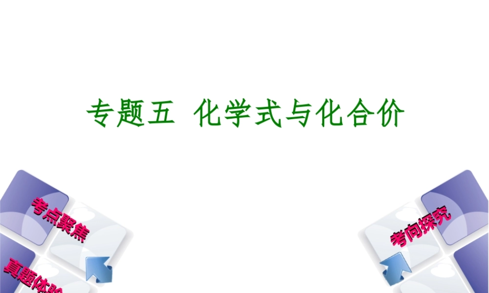 （安徽专版）中考化学 专题5 化学式与化合价课件-人教版初中九年级全册化学课件