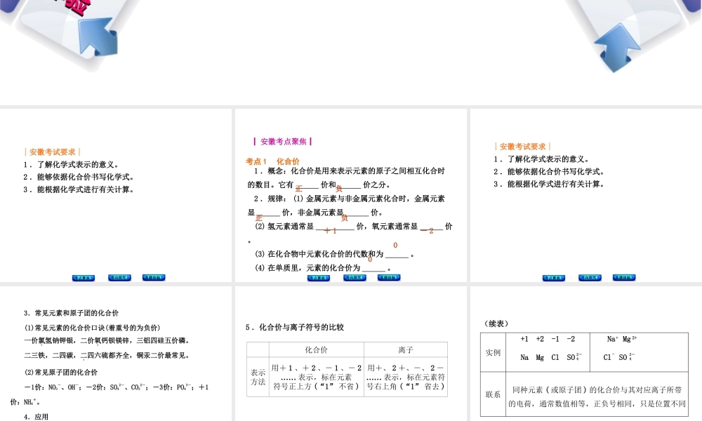 （安徽专版）中考化学 专题5 化学式与化合价课件-人教版初中九年级全册化学课件
