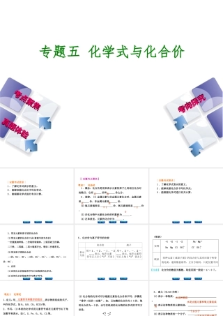 （安徽专版）中考化学 专题5 化学式与化合价课件-人教版初中九年级全册化学课件