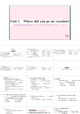 （安徽专版）八年级英语上册 Unit 1 Where did you go on vacation第一课时习题课件（新版）人教新目标版-（新版）人教新目标版初中八年级上册英语课件