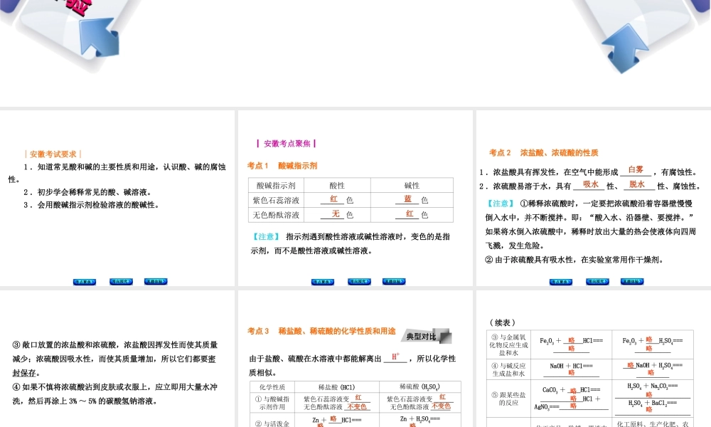 （安徽专版）中考化学 专题12 常见的酸和碱课件-人教版初中九年级全册化学课件