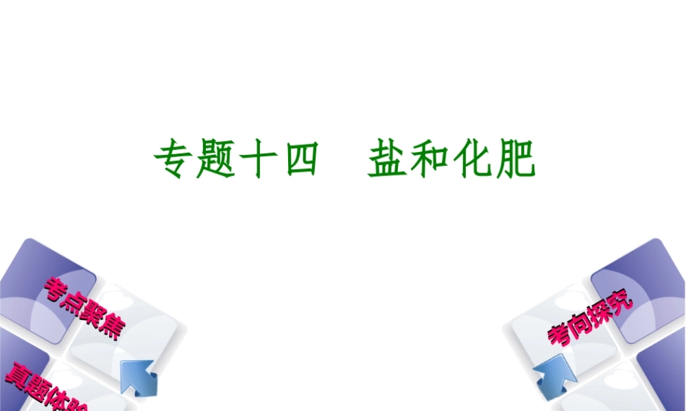 （安徽专版）中考化学 专题14 盐和化肥课件-人教版初中九年级全册化学课件