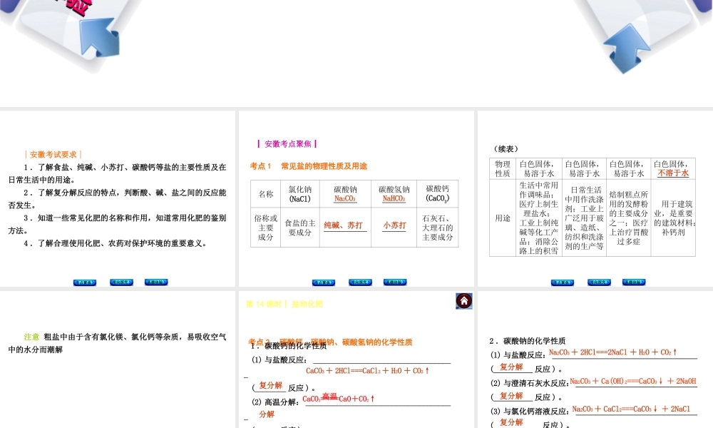 （安徽专版）中考化学 专题14 盐和化肥课件-人教版初中九年级全册化学课件