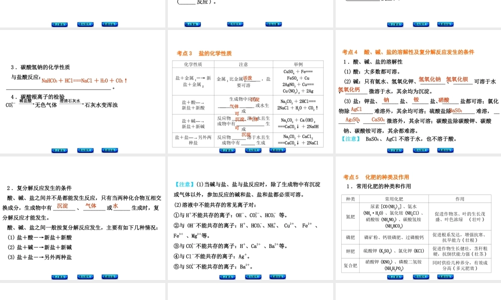 （安徽专版）中考化学 专题14 盐和化肥课件-人教版初中九年级全册化学课件