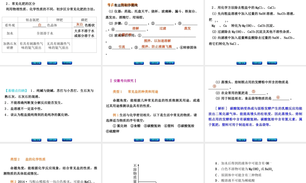 （安徽专版）中考化学 专题14 盐和化肥课件-人教版初中九年级全册化学课件