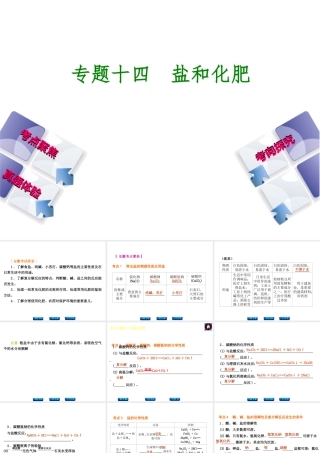 （安徽专版）中考化学 专题14 盐和化肥课件-人教版初中九年级全册化学课件