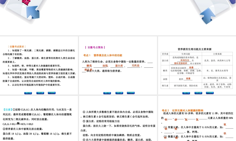（安徽专版）中考化学 专题15 化学与生活课件-人教版初中九年级全册化学课件