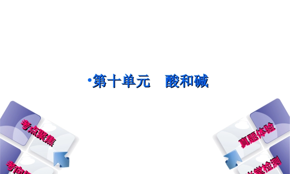 （安徽专版）中考化学复习 第十单元 酸和碱课件-人教版初中九年级全册化学课件