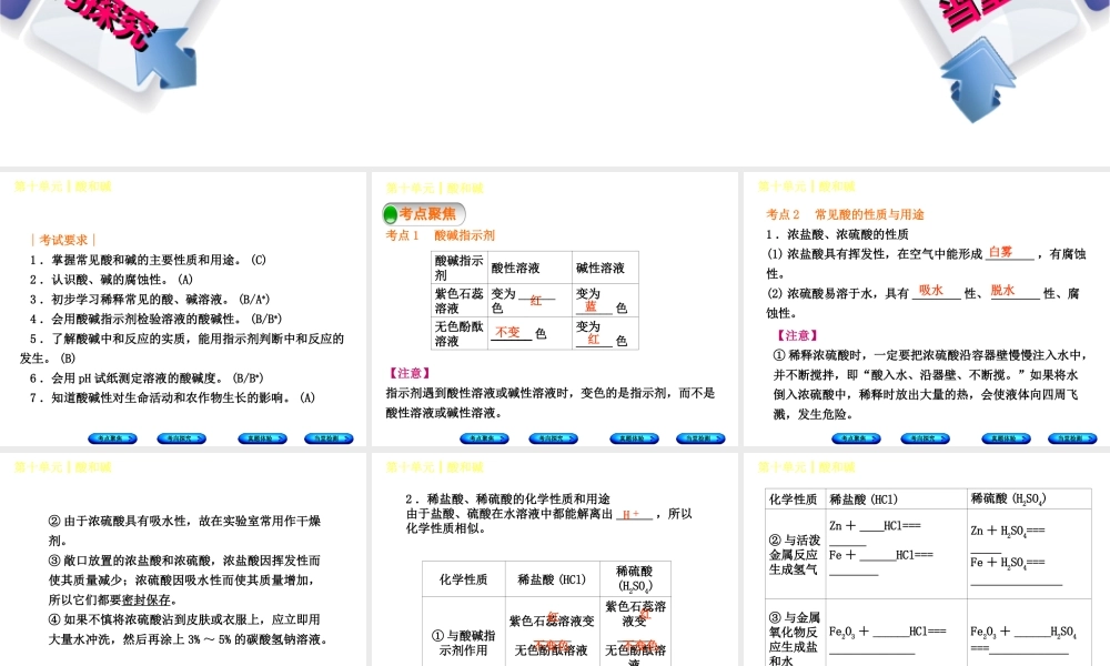 （安徽专版）中考化学复习 第十单元 酸和碱课件-人教版初中九年级全册化学课件
