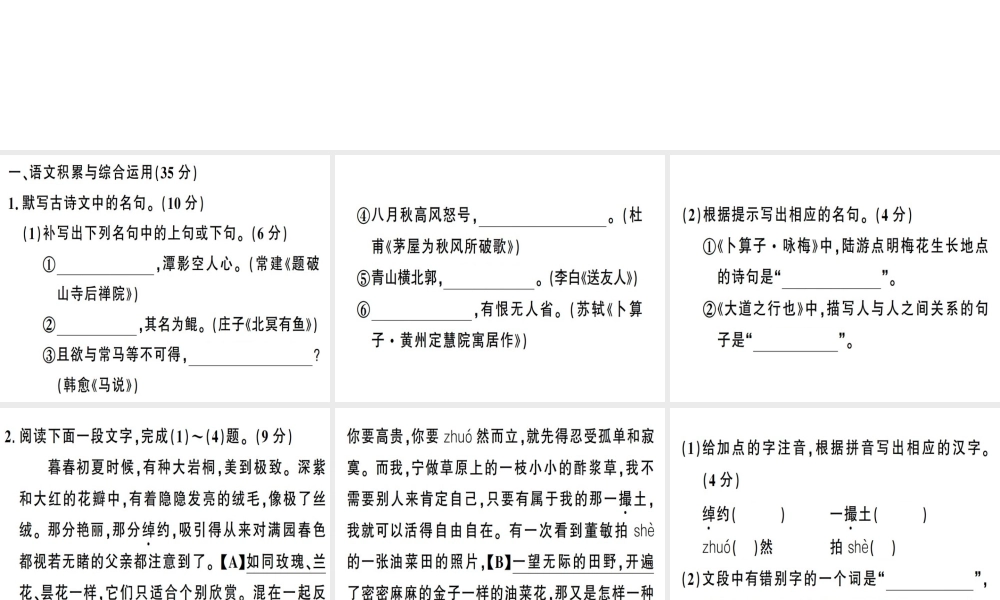 （安徽专版）春八年级语文下册 第五单元检测卷课件 新人教版-新人教版初中八年级下册语文课件