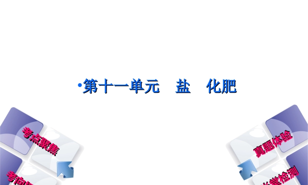 （安徽专版）中考化学复习 第十一单元 盐 化肥课件-人教版初中九年级全册化学课件
