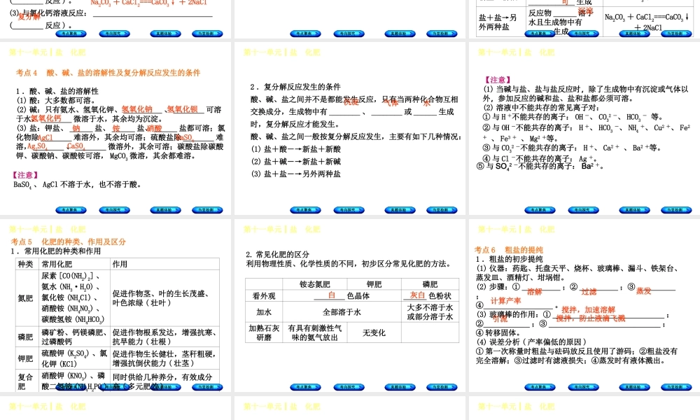 （安徽专版）中考化学复习 第十一单元 盐 化肥课件-人教版初中九年级全册化学课件