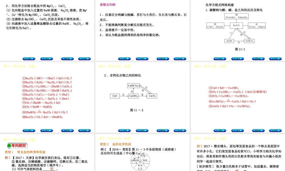 （安徽专版）中考化学复习 第十一单元 盐 化肥课件-人教版初中九年级全册化学课件