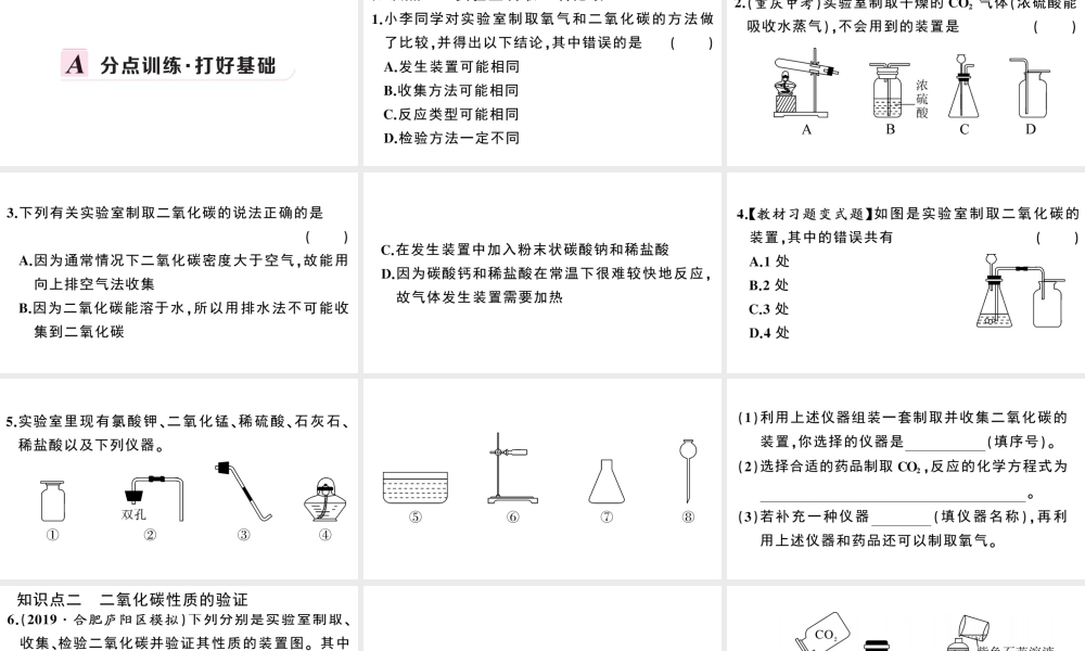 （安徽专版）秋九年级化学上册 第六单元 碳和碳的氧化物 实验活动2 二氧化碳的实验室制取与性质习题课件（新版）新人教版-（新版）新人教版初中九年级上册化学课件
