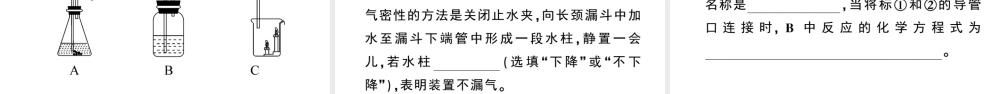 （安徽专版）秋九年级化学上册 第六单元 碳和碳的氧化物 实验活动2 二氧化碳的实验室制取与性质习题课件（新版）新人教版-（新版）新人教版初中九年级上册化学课件