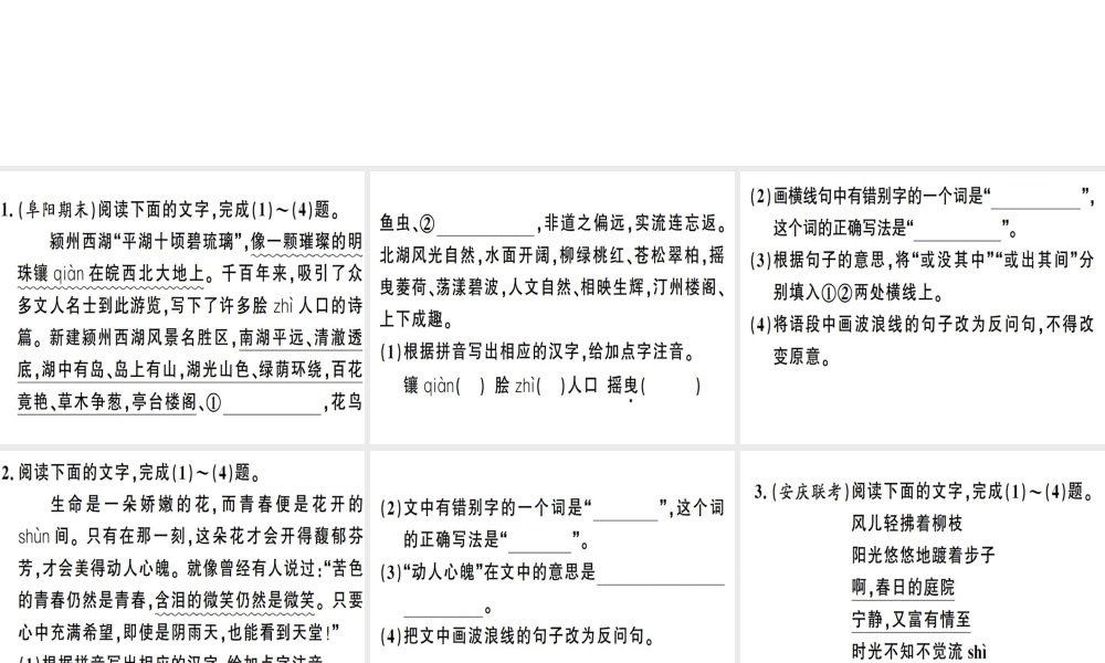（安徽专版）春八年级语文下册 专题复习二 语文积累与运用习题课件 新人教版-新人教版初中八年级下册语文课件