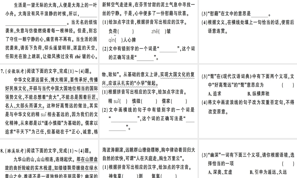 （安徽专版）春八年级语文下册 专题复习二 语文积累与运用习题课件 新人教版-新人教版初中八年级下册语文课件