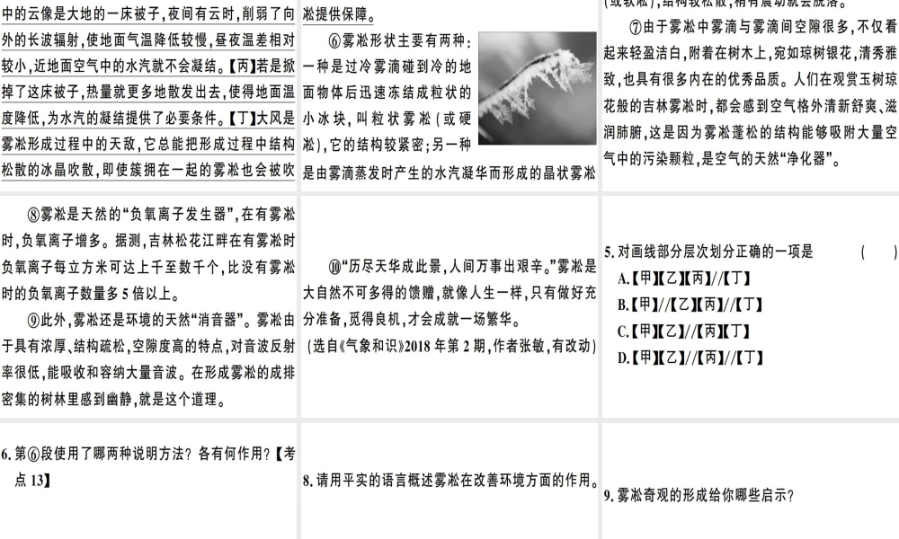 （安徽专版）春八年级语文下册 专题复习七 说明文阅读习题课件 新人教版-新人教版初中八年级下册语文课件