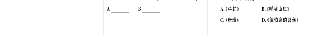 （安徽专版）春八年级语文下册 专题复习三 名著阅读习题课件 新人教版-新人教版初中八年级下册语文课件