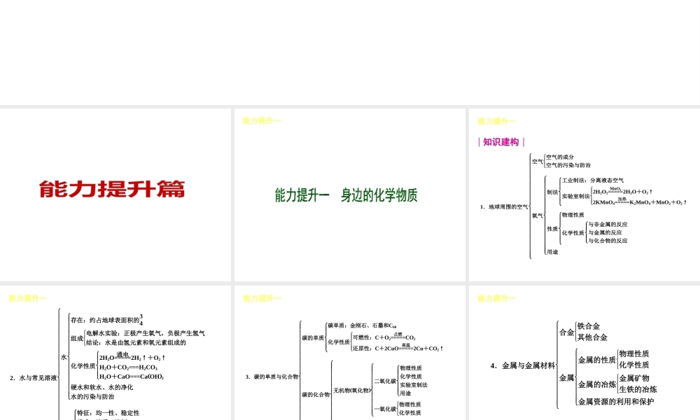 （安徽专版）中考化学教材化总复习 能力提升篇课件 新人教版