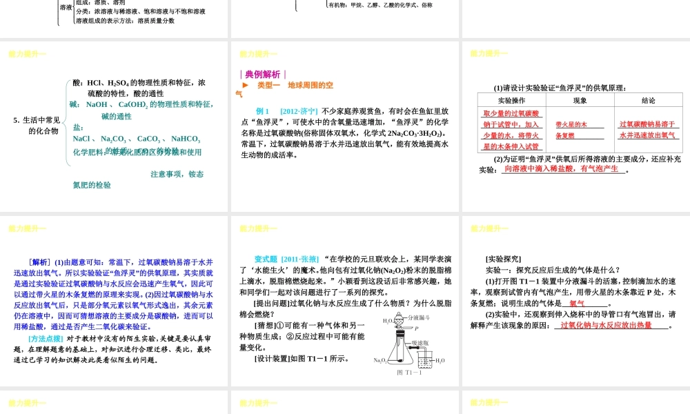 （安徽专版）中考化学教材化总复习 能力提升篇课件 新人教版