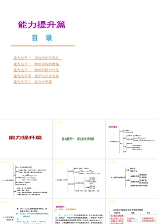（安徽专版）中考化学教材化总复习 能力提升篇课件 新人教版