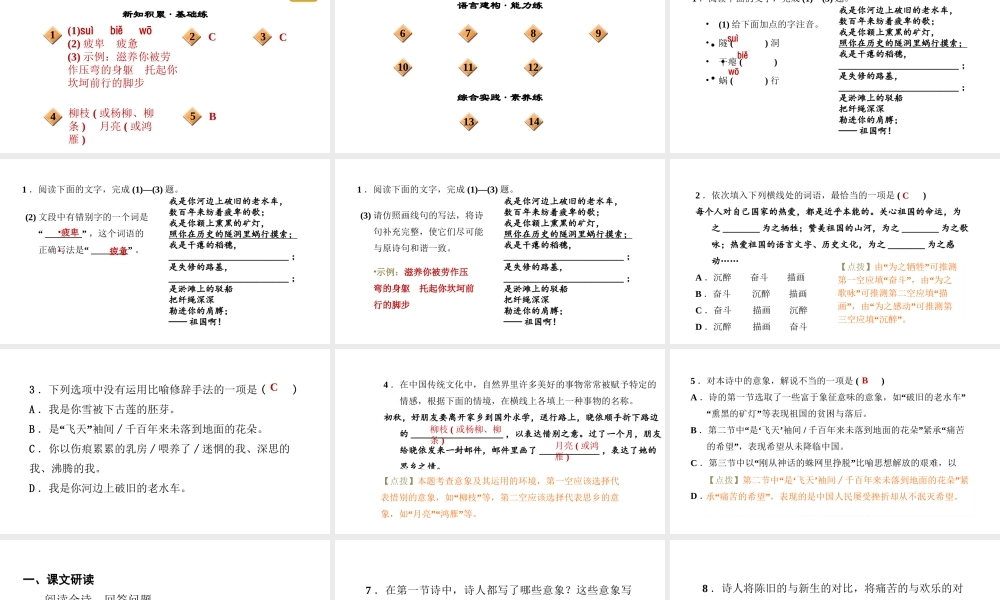 （安徽专版）春九年级语文下册 第一单元 1 祖国啊，我亲爱的祖国课件 新人教版-新人教版初中九年级下册语文课件