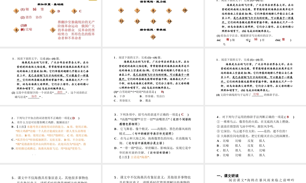 （安徽专版）春九年级语文下册 第一单元 4 海燕课件 新人教版-新人教版初中九年级下册语文课件