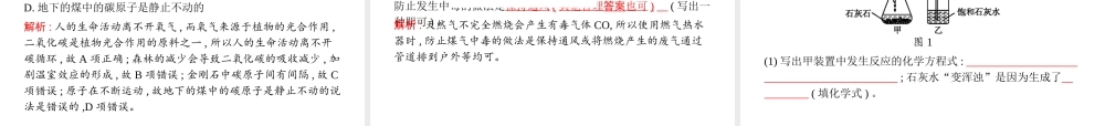 （安徽专版）中考化学总复习 6 碳和碳的氧化物课件-人教版初中九年级全册化学课件