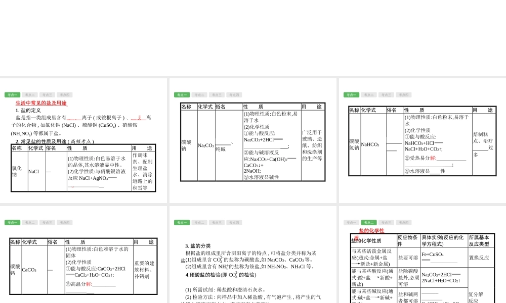 （安徽专版）中考化学总复习 11 盐 化肥课件-人教版初中九年级全册化学课件