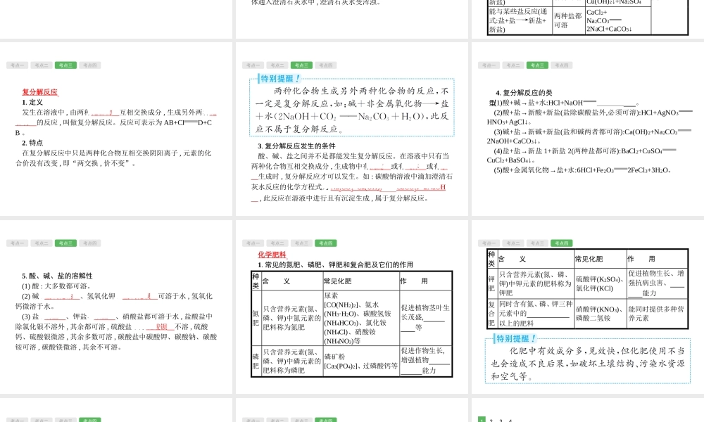 （安徽专版）中考化学总复习 11 盐 化肥课件-人教版初中九年级全册化学课件