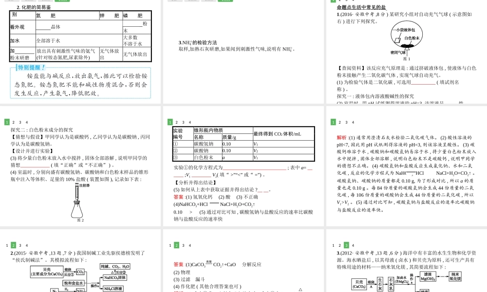 （安徽专版）中考化学总复习 11 盐 化肥课件-人教版初中九年级全册化学课件