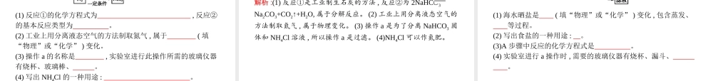（安徽专版）中考化学总复习 11 盐 化肥课件-人教版初中九年级全册化学课件